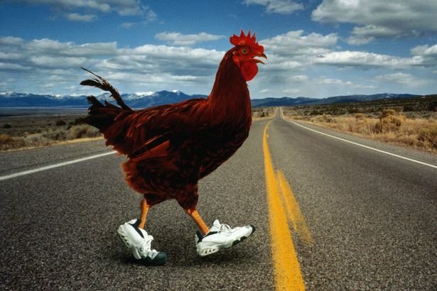 Scopri chicken road originale